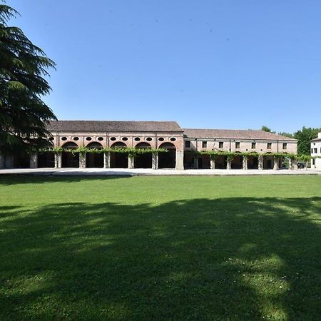 Bed and Breakfast Tenuta Le Risare Campo San Martino Exteriér fotografie
