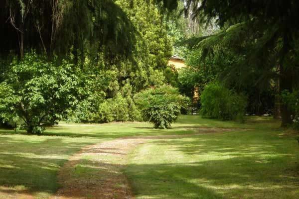 Bed and Breakfast Tenuta Le Risare Campo San Martino Exteriér fotografie